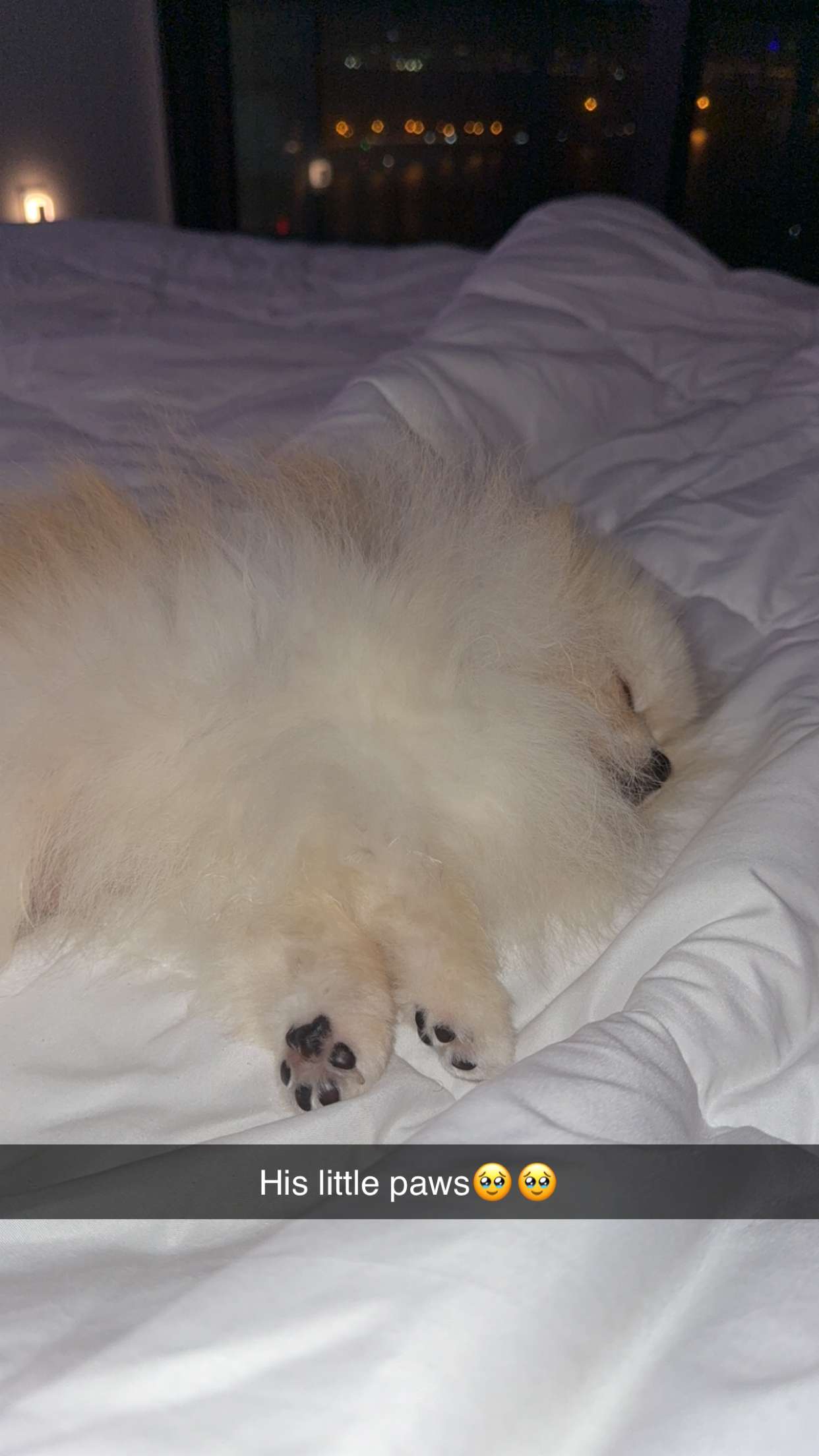 graceboor snapchat image archive image