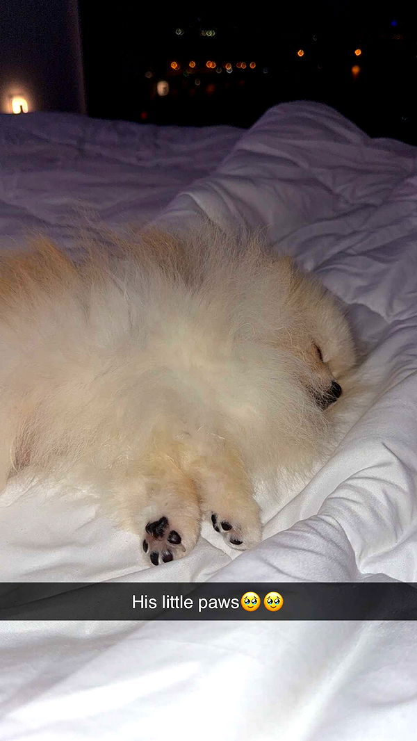 graceboor image ~ Altpins