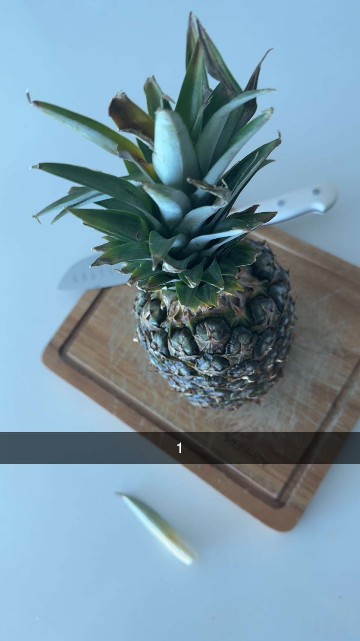 graceboor snapchat image archive image