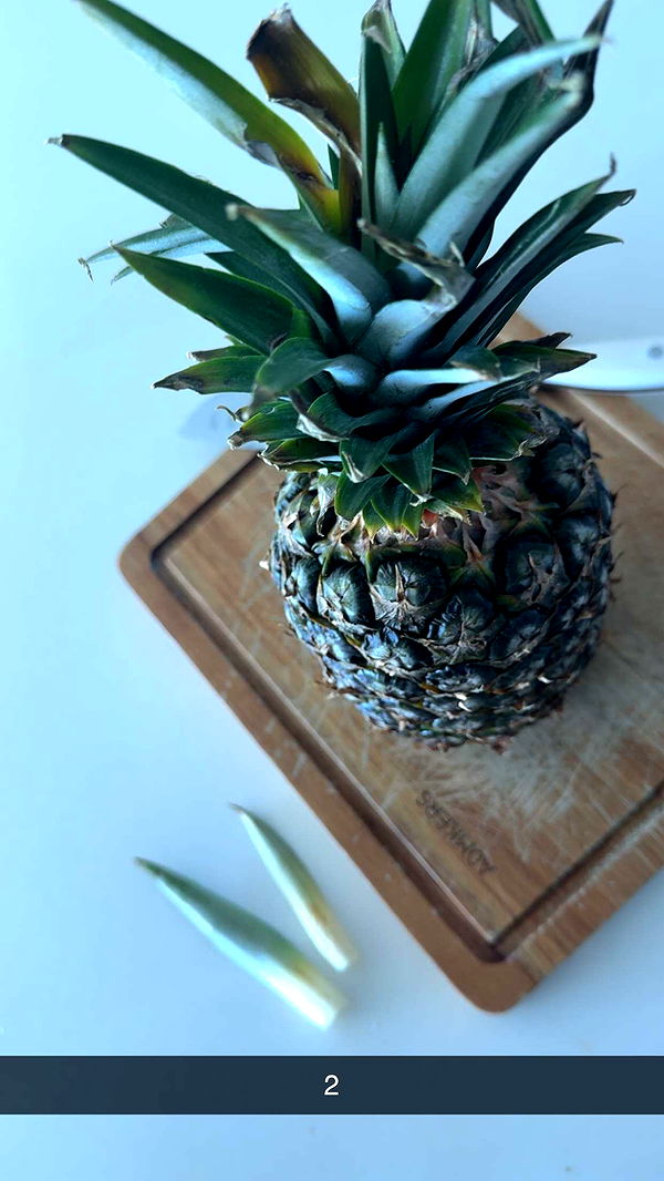 graceboor image ~ Altpins