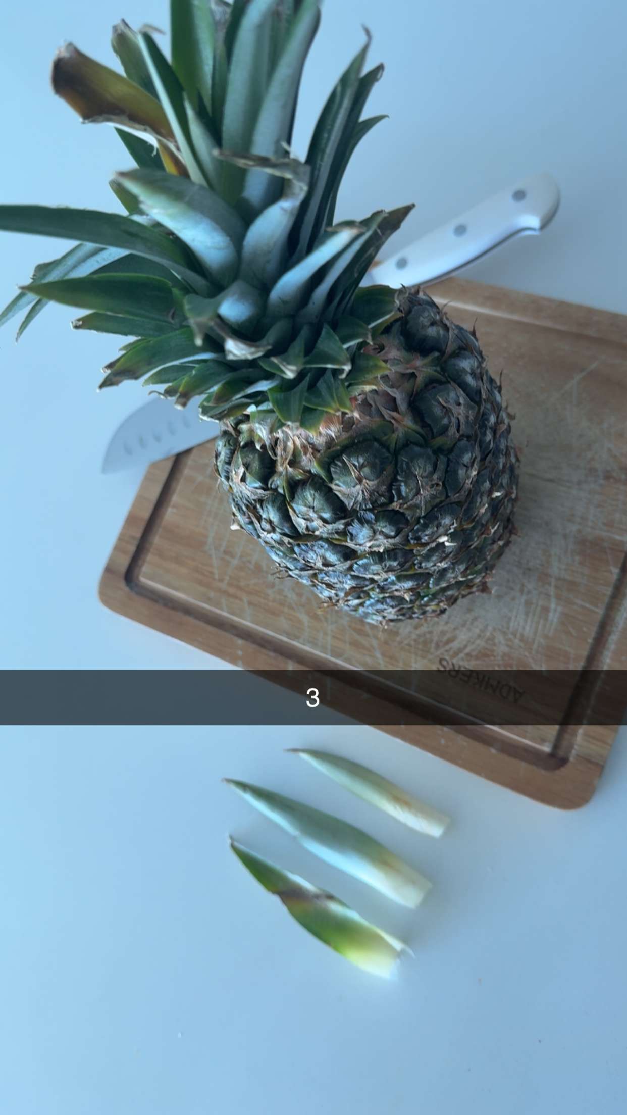 graceboor snapchat image archive image