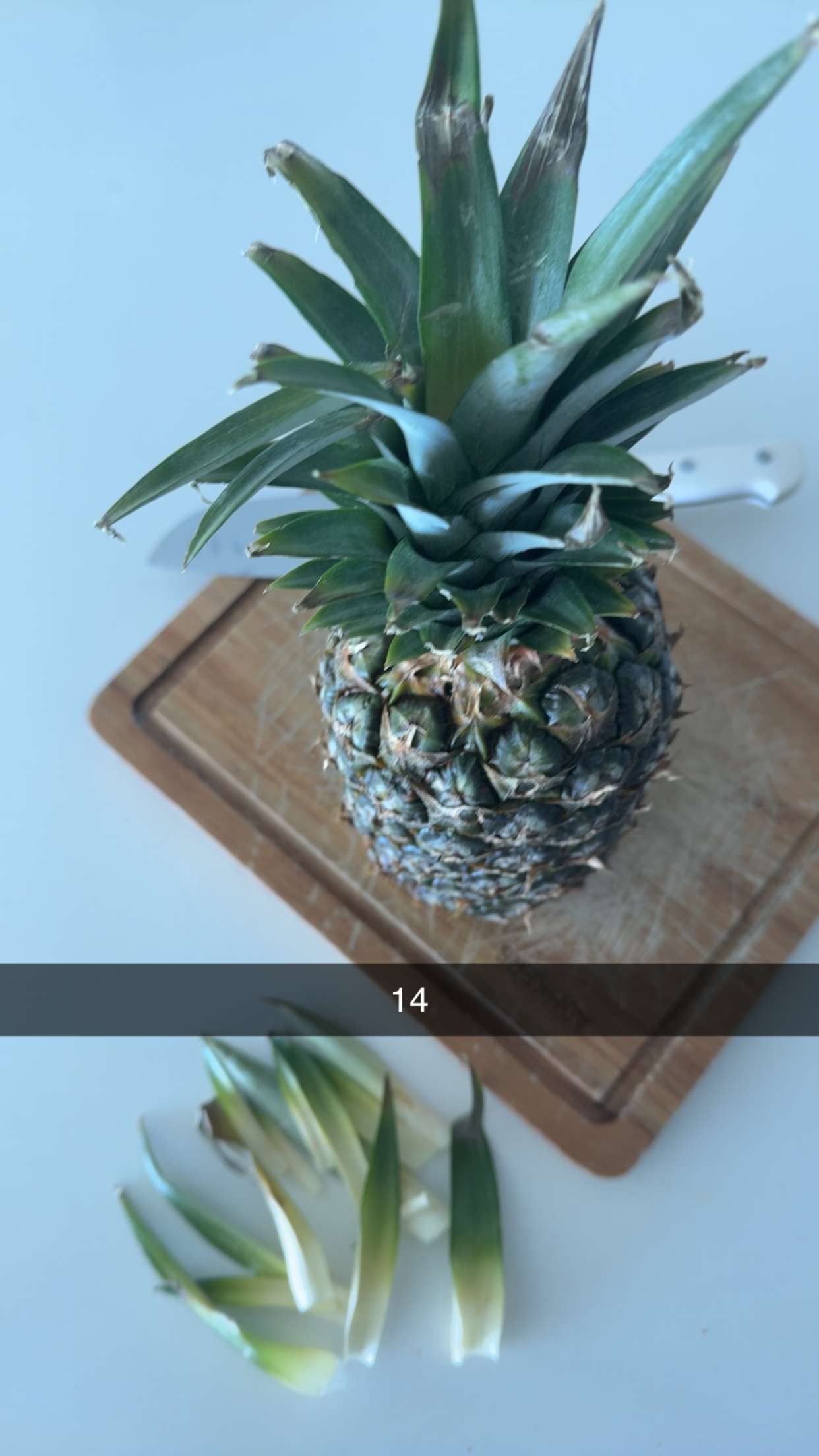 graceboor snapchat image archive image