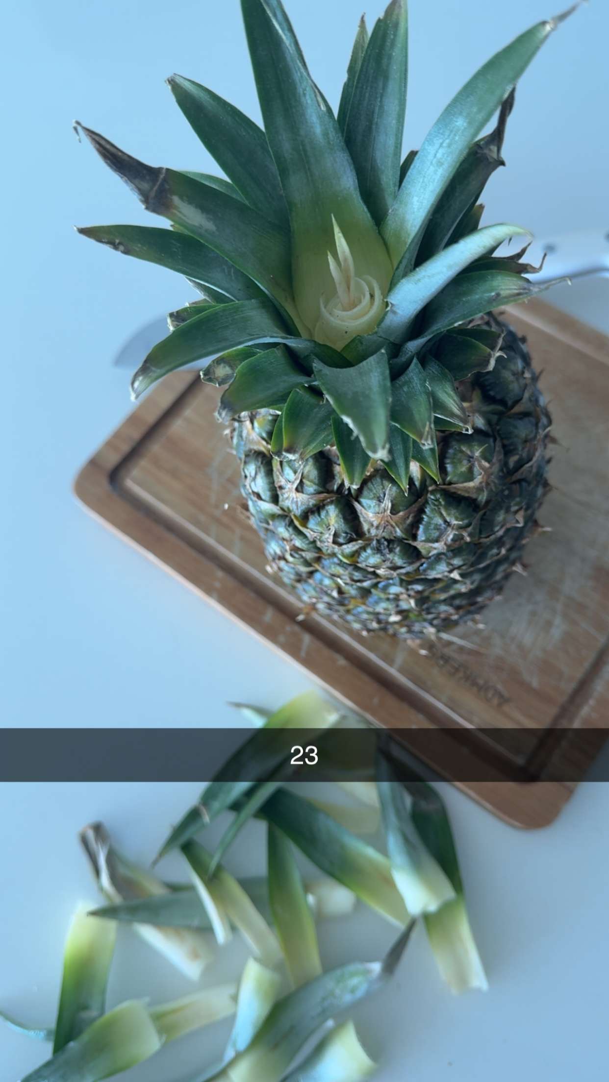 graceboor snapchat image archive image