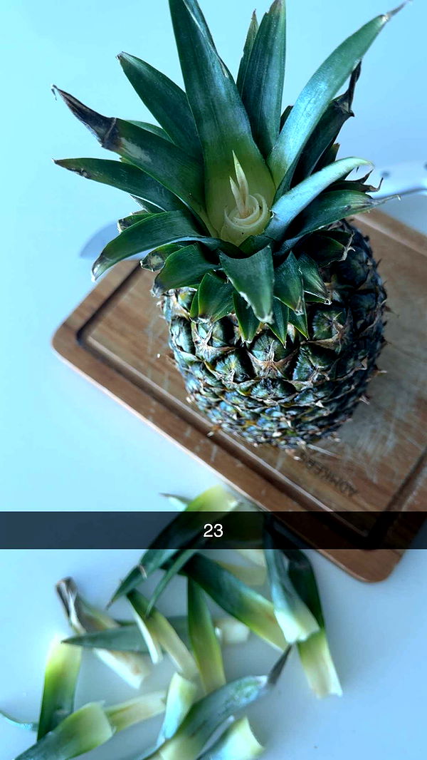 graceboor image ~ Altpins