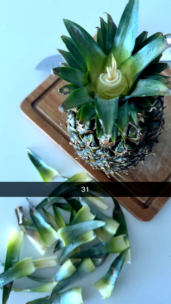 graceboor image ~ Altpins