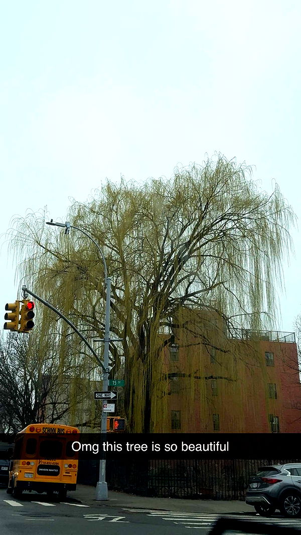 graceboor image ~ Altpins