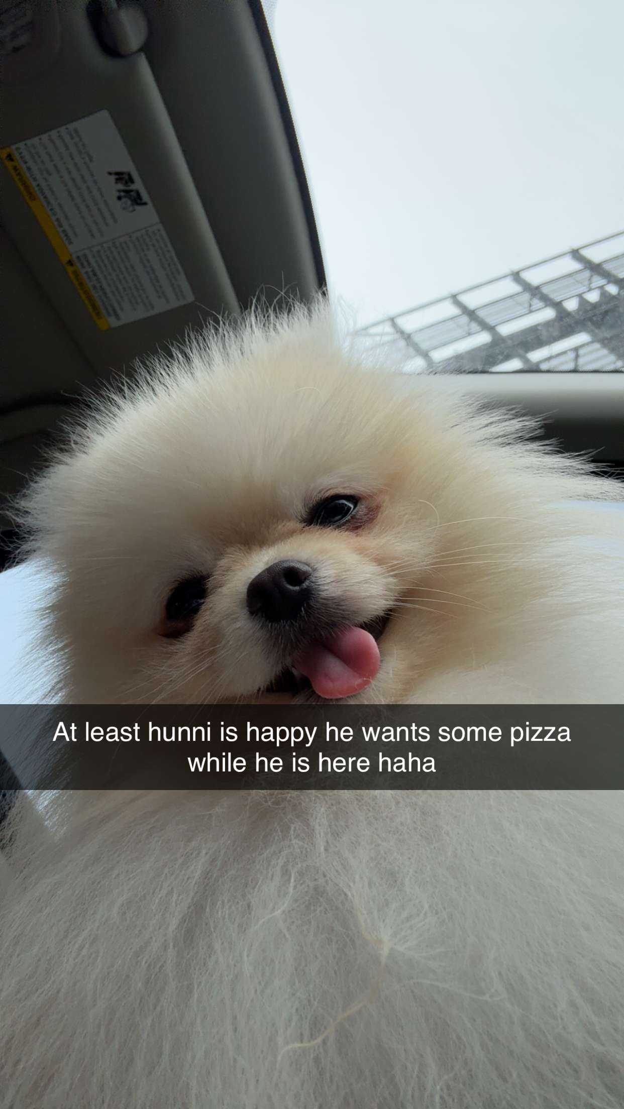 graceboor snapchat image archive image