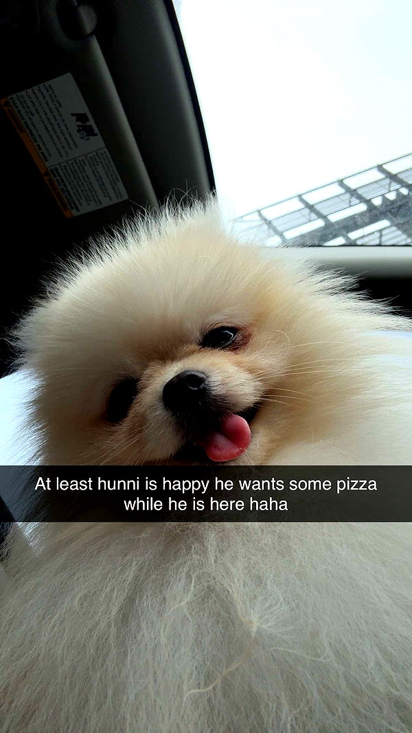 graceboor image ~ Altpins