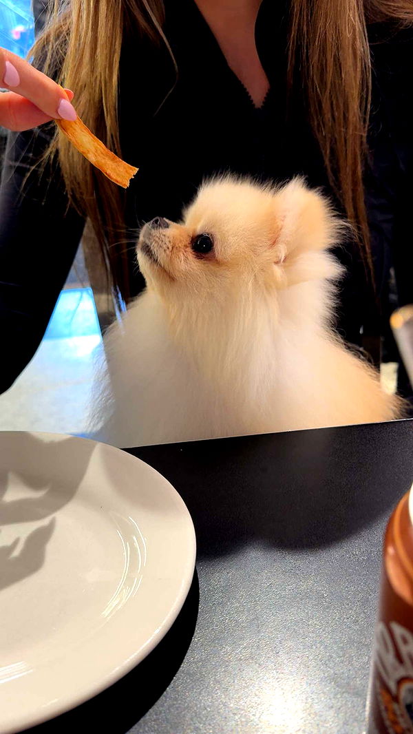 graceboor image ~ Altpins