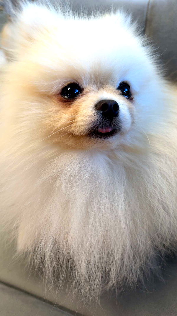 graceboor image ~ Altpins