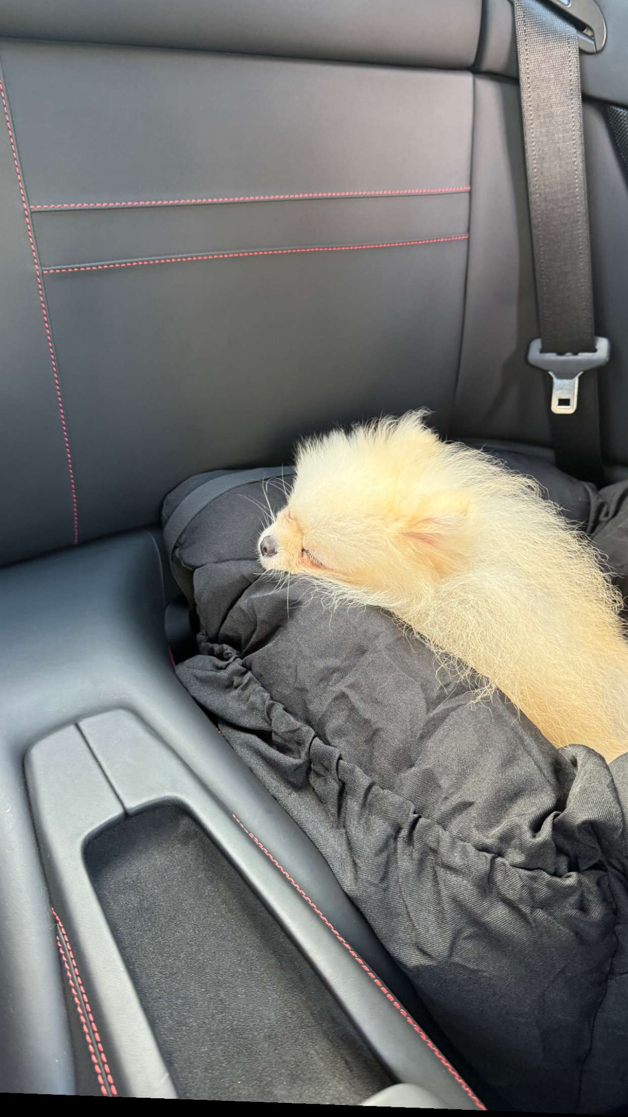 graceboor snapchat image archive image