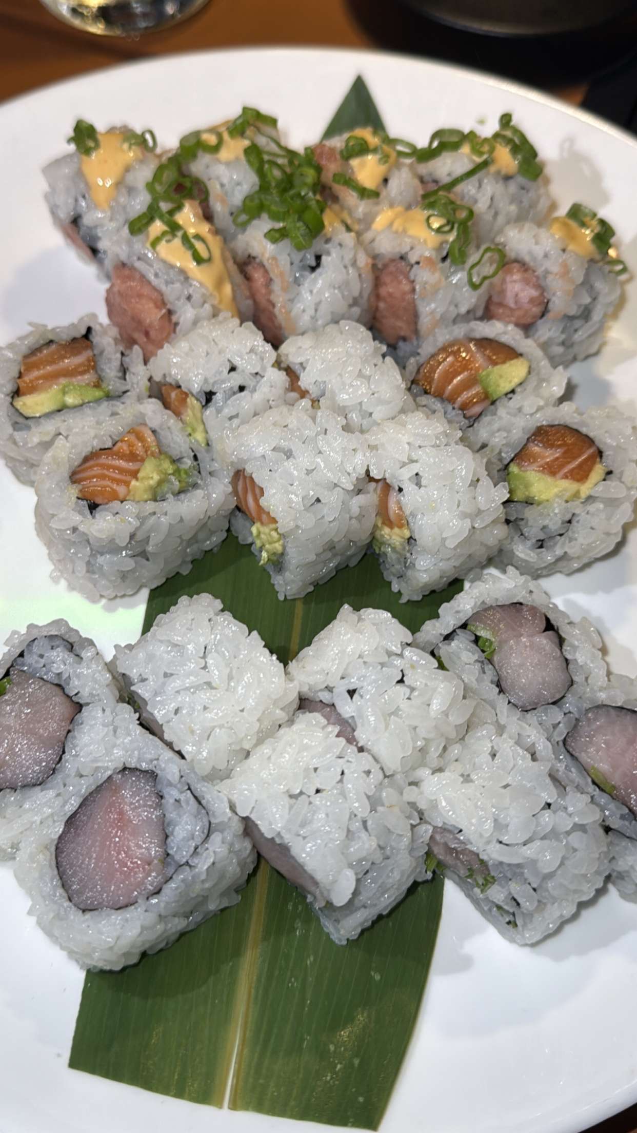 graceboor snapchat image archive image