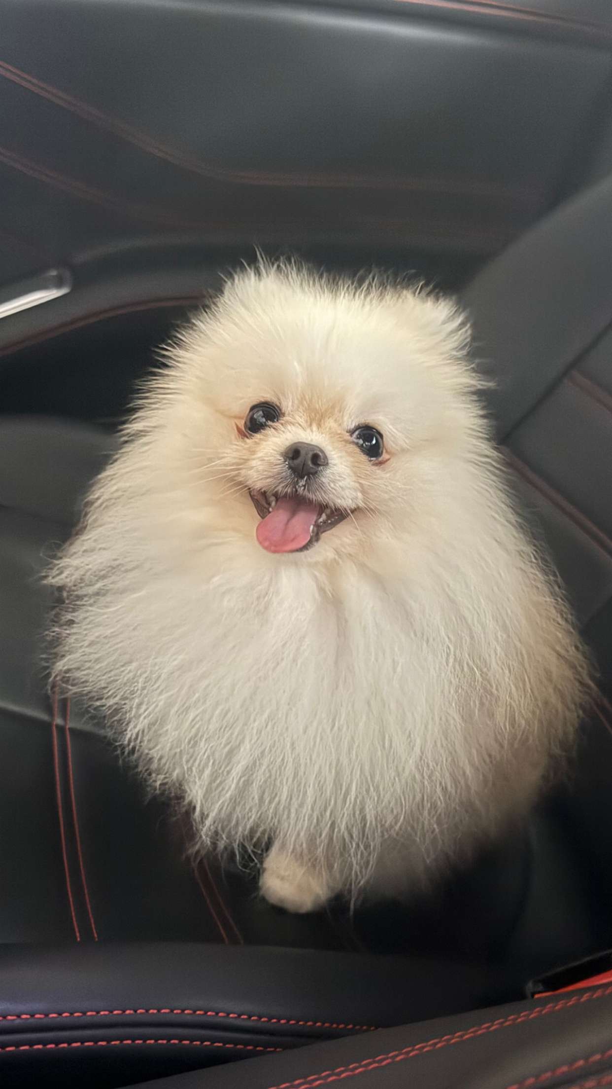 graceboor snapchat image archive image