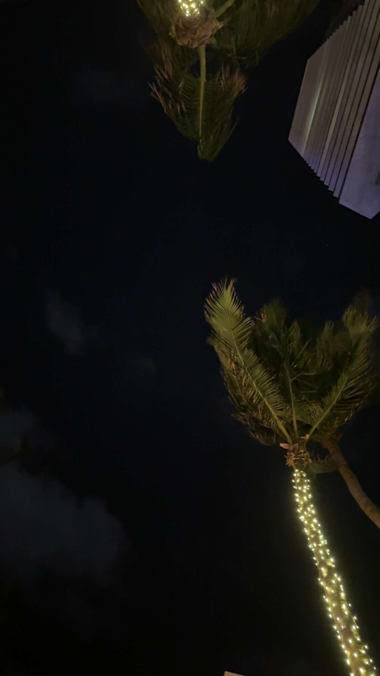 graceboor snapchat image archive image