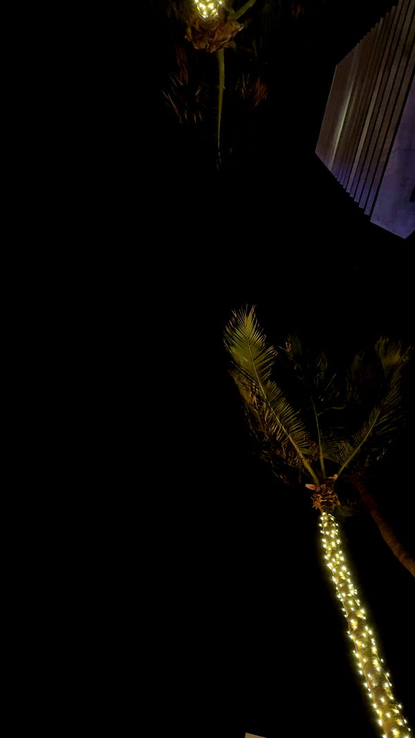 graceboor image ~ Altpins