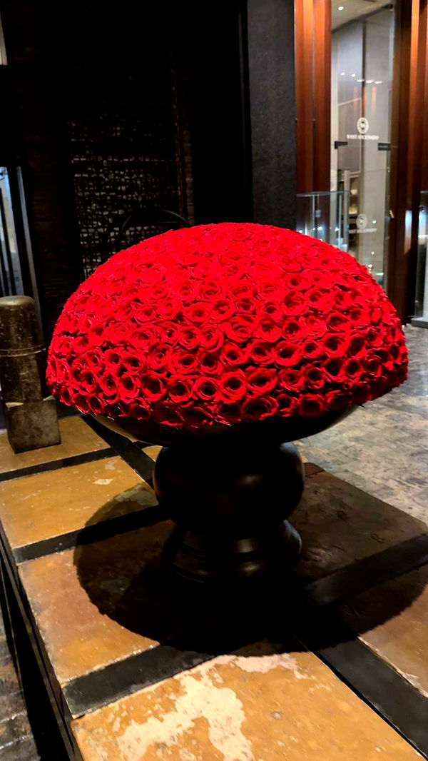 graceboor image ~ Altpins