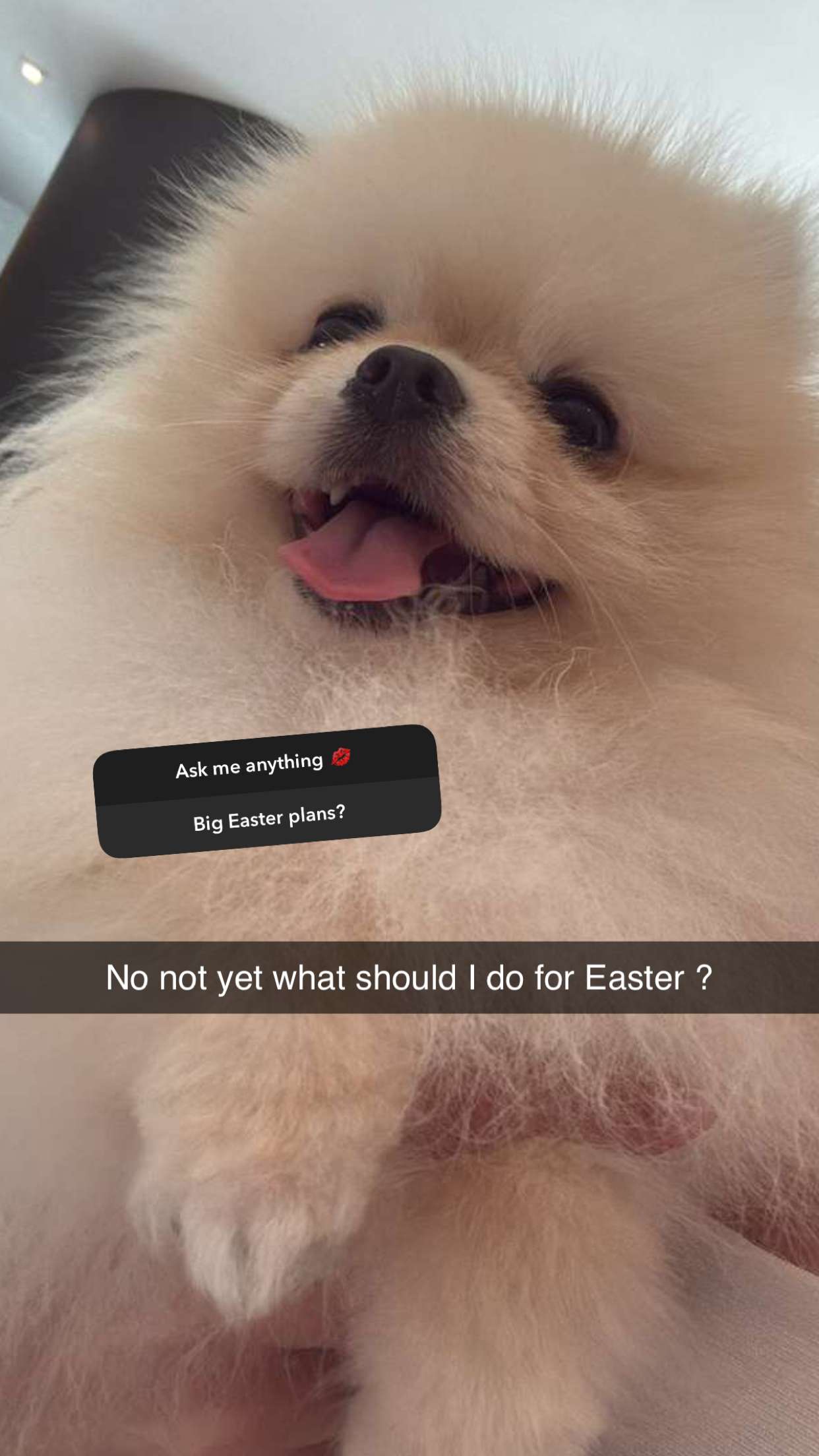 graceboor snapchat image archive image