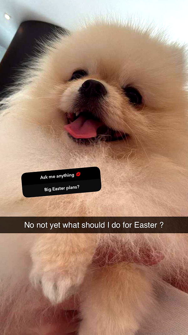 graceboor image ~ Altpins