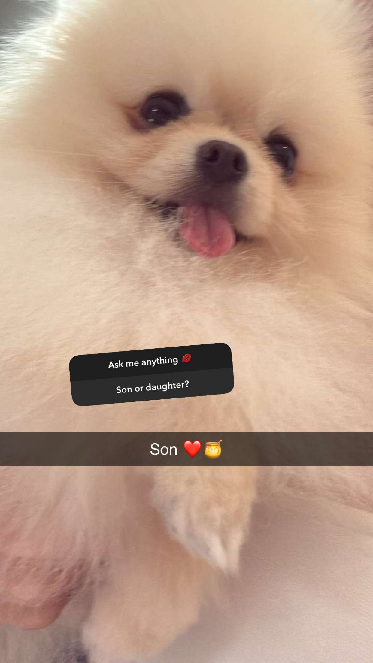 graceboor snapchat image archive image