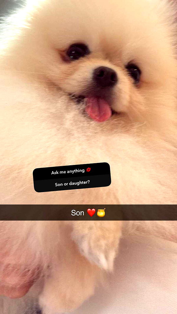 graceboor image ~ Altpins