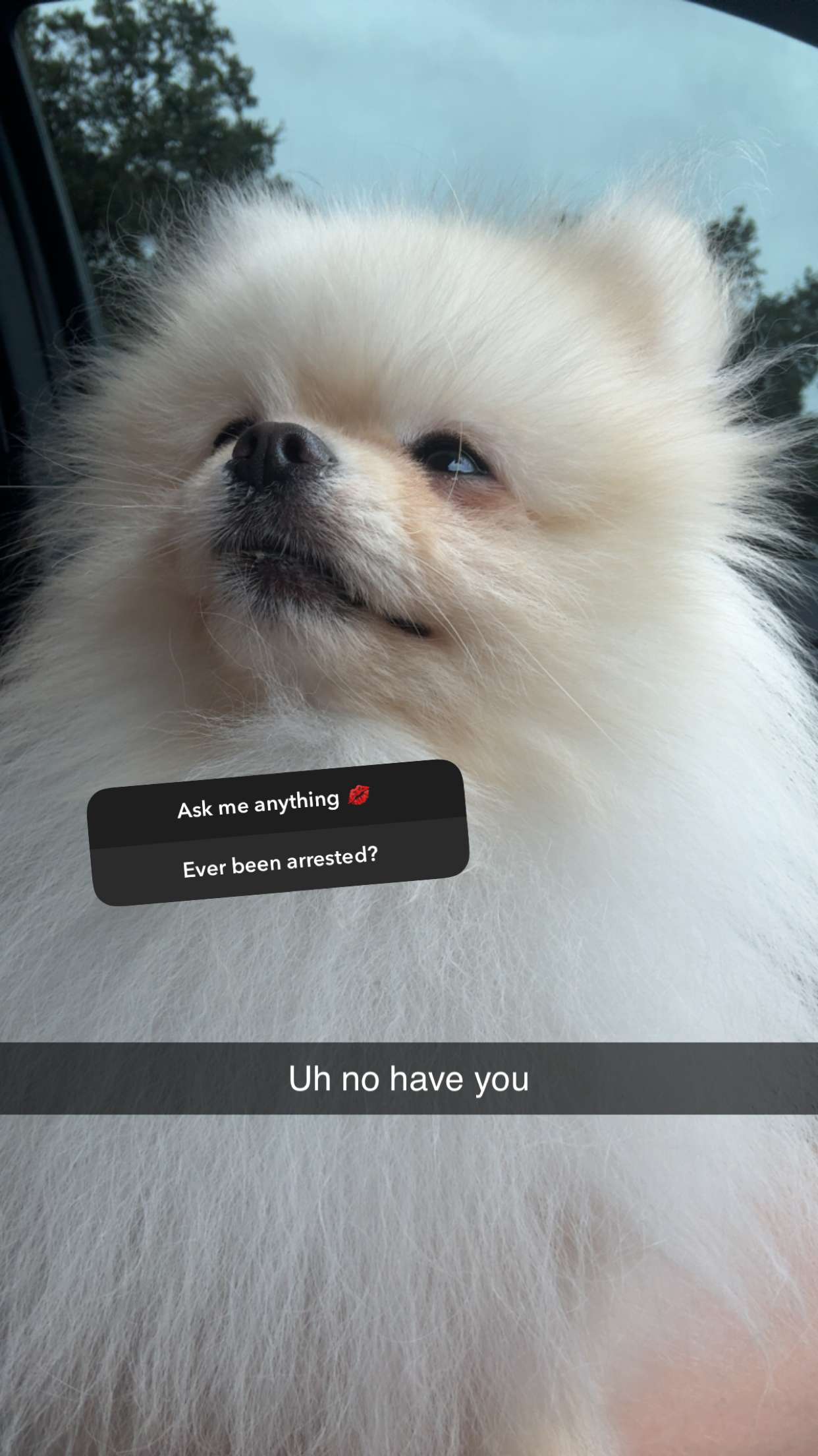 graceboor snapchat image archive image