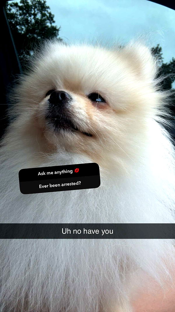 graceboor image ~ Altpins