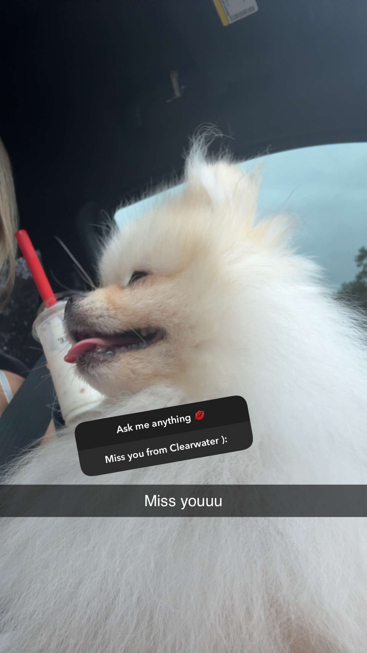 graceboor snapchat image archive image