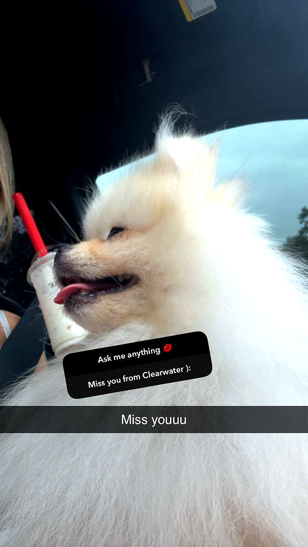 graceboor image ~ Altpins