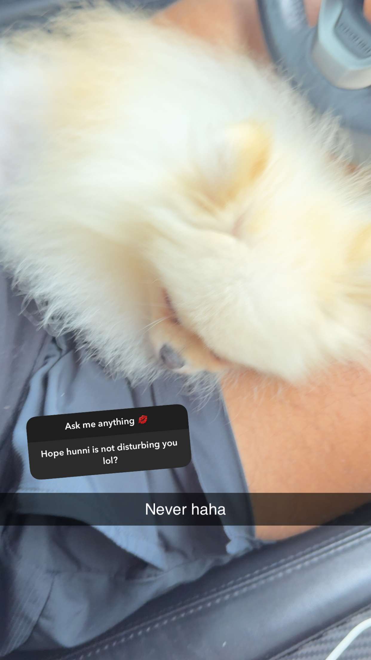 graceboor snapchat image archive image