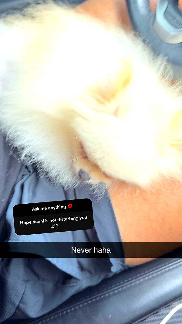 graceboor image ~ Altpins