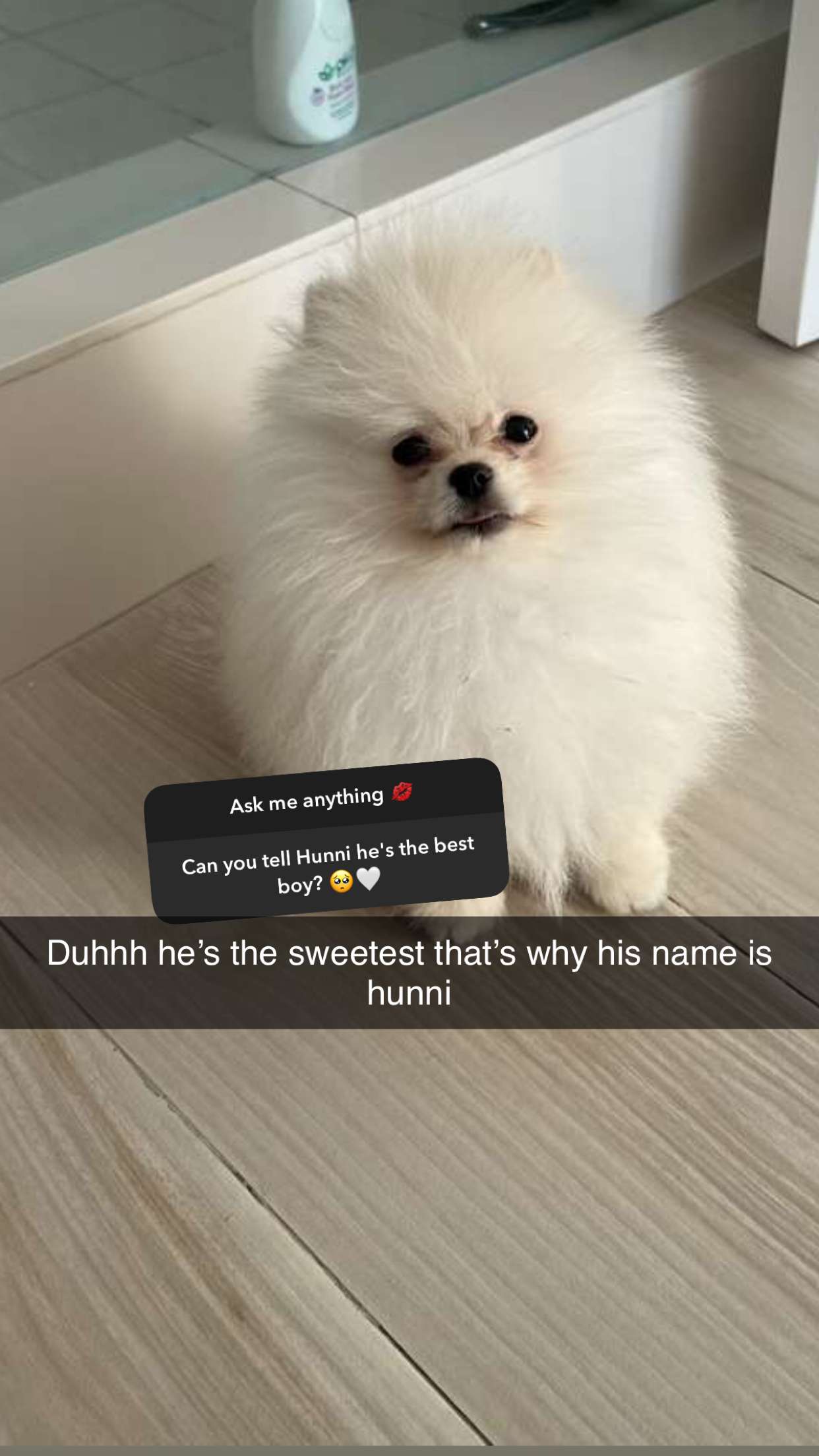 graceboor snapchat image archive image