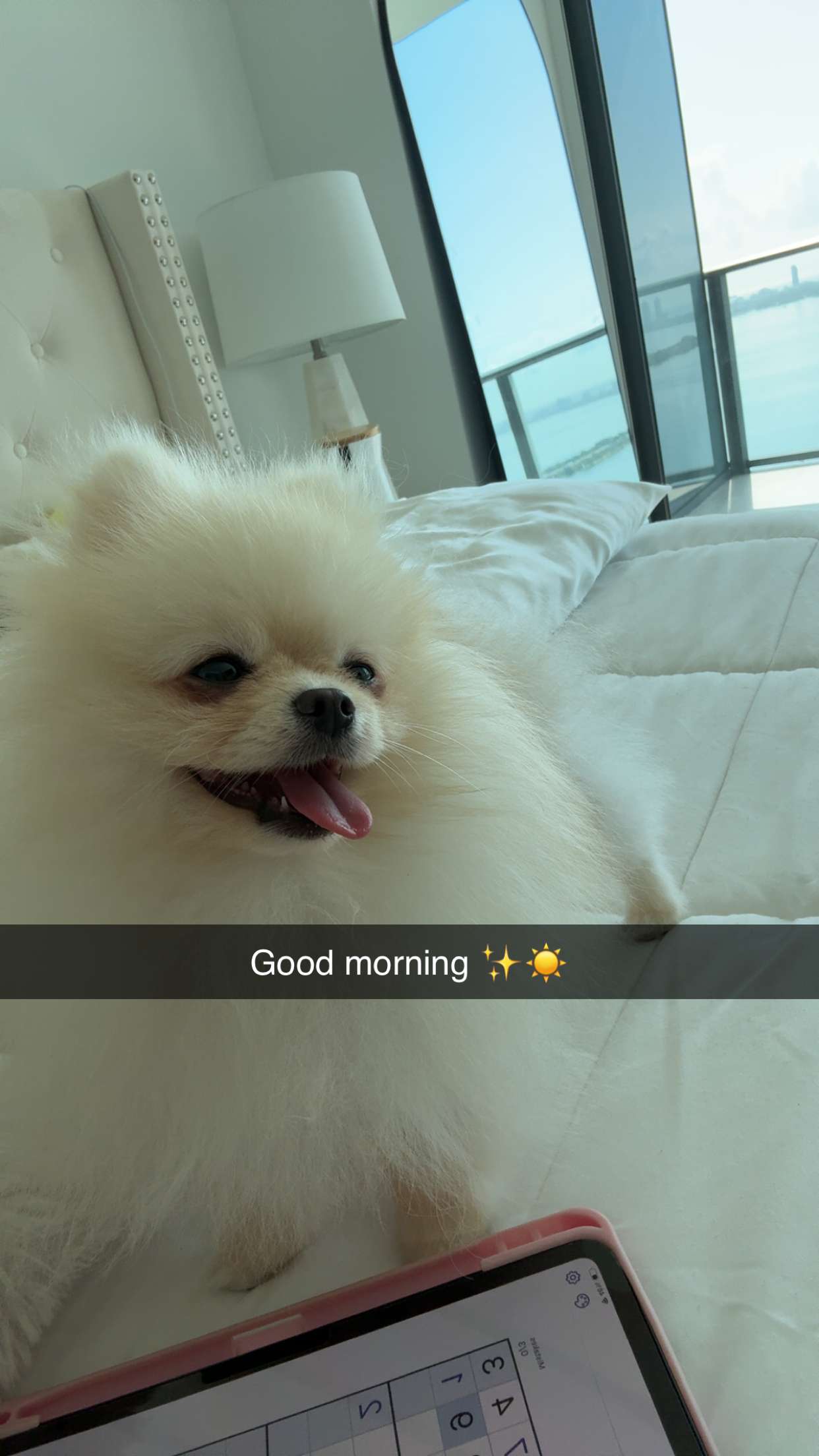 graceboor snapchat image archive image