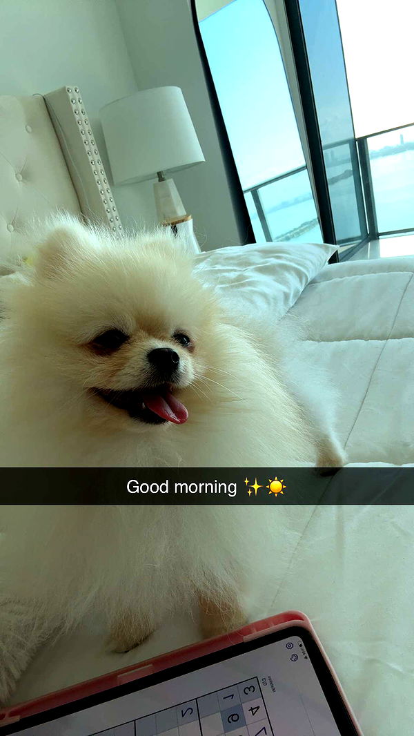 graceboor image ~ Altpins