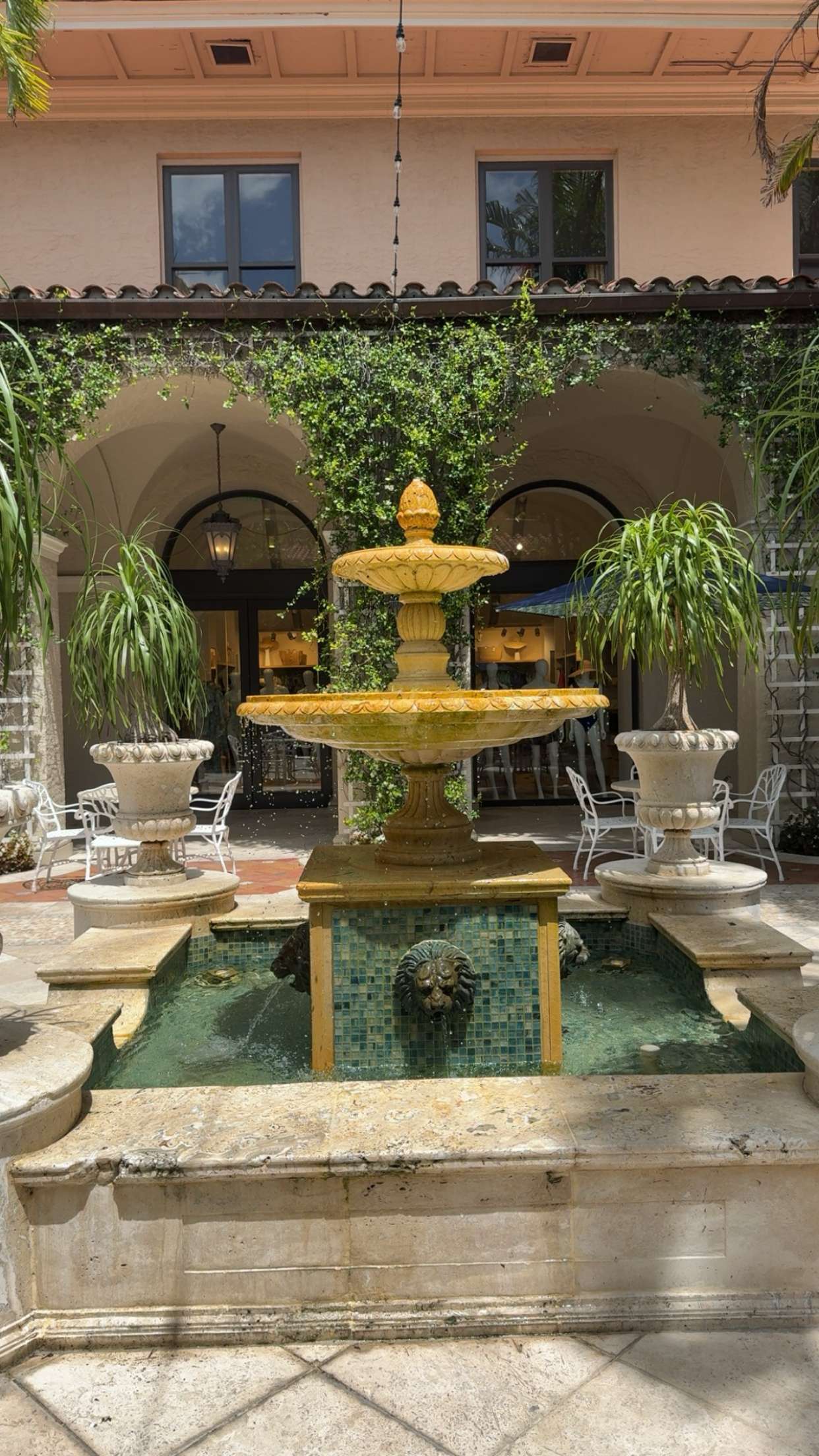 graceboor snapchat image archive image