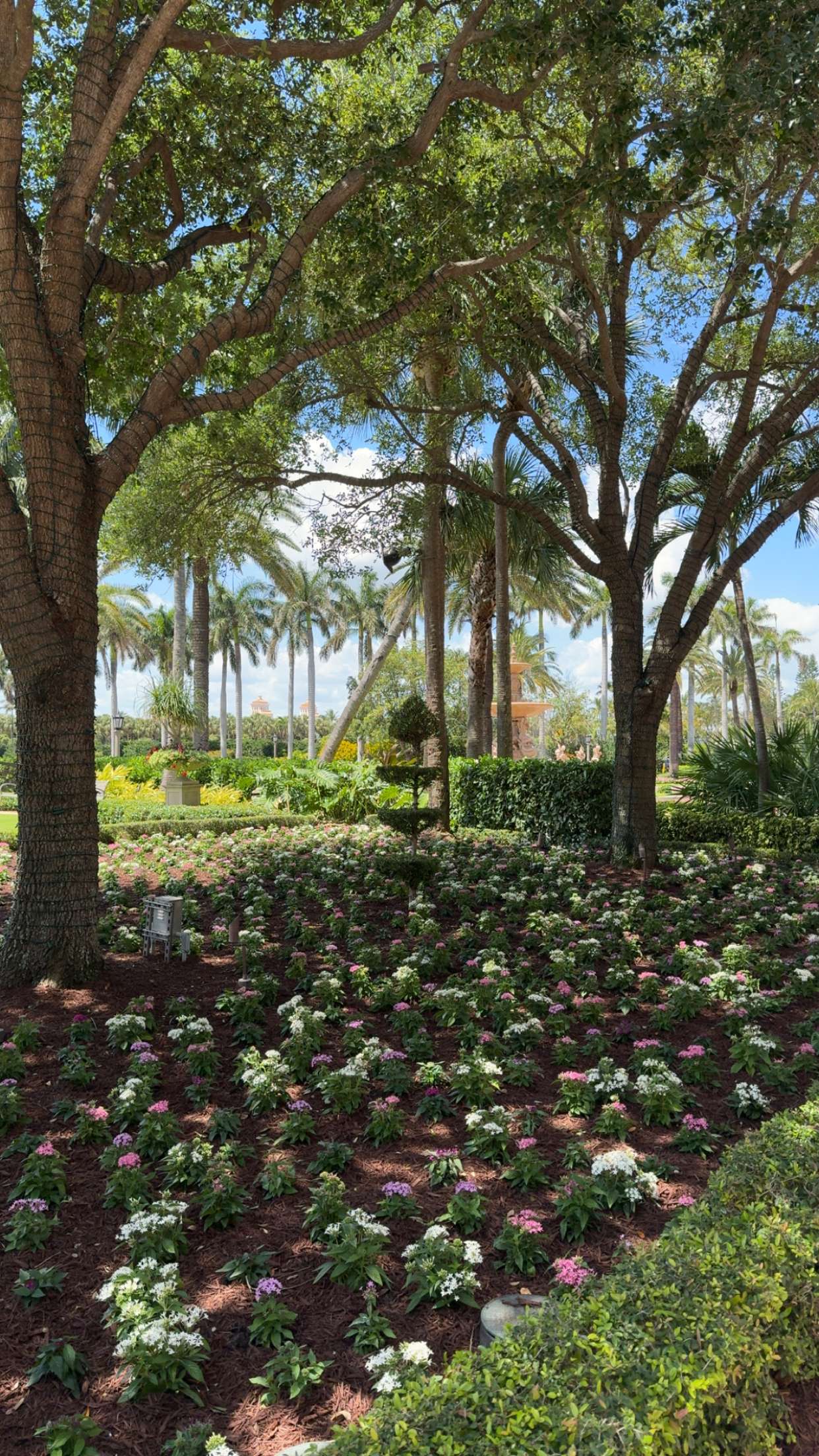 graceboor snapchat image archive image