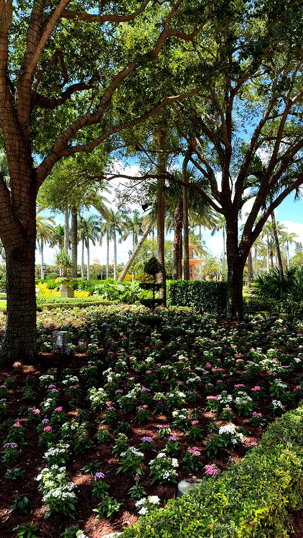 graceboor image ~ Altpins