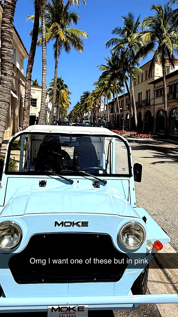 graceboor image ~ Altpins