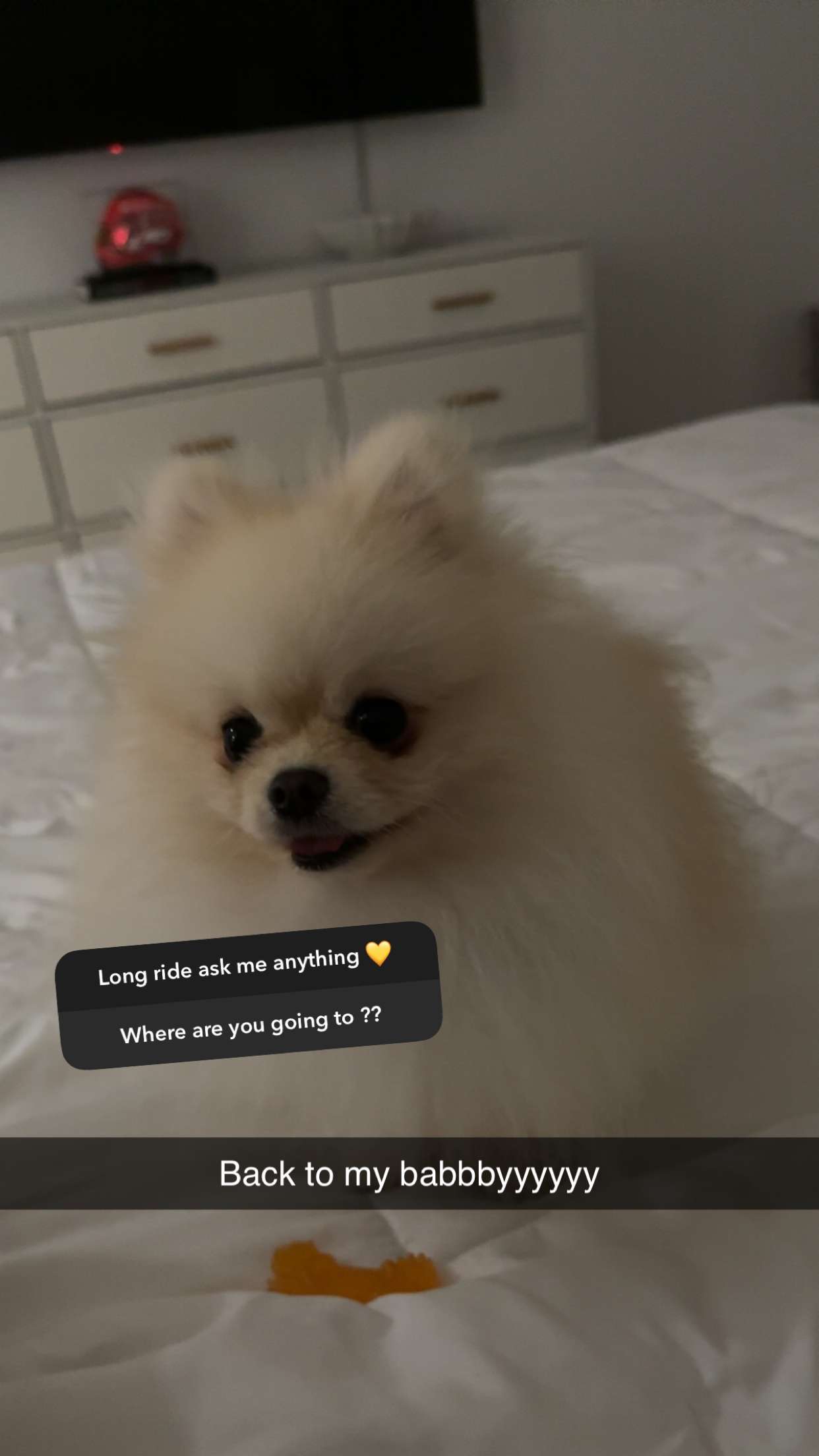 graceboor snapchat image archive image