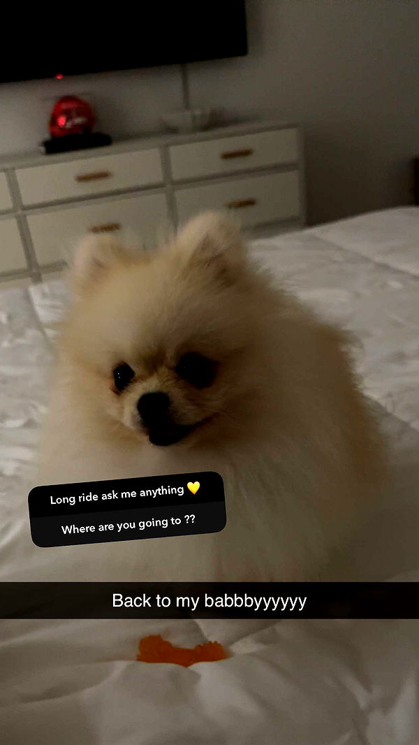 graceboor image ~ Altpins