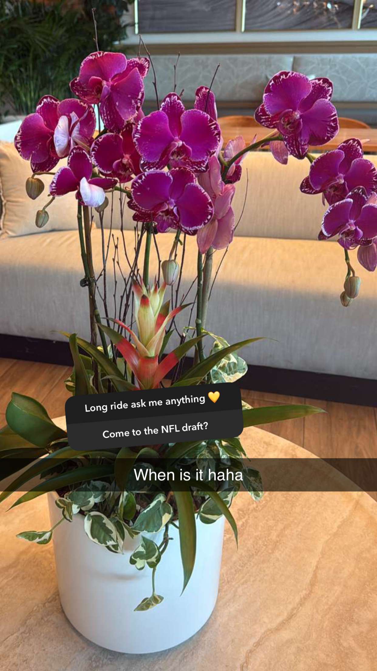 graceboor snapchat image archive image