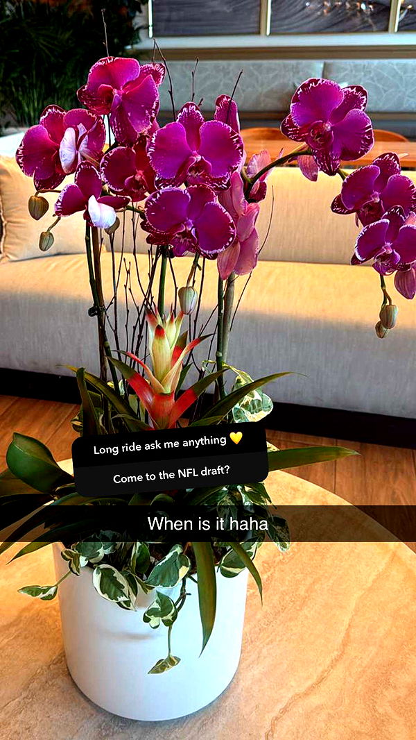 graceboor image ~ Altpins