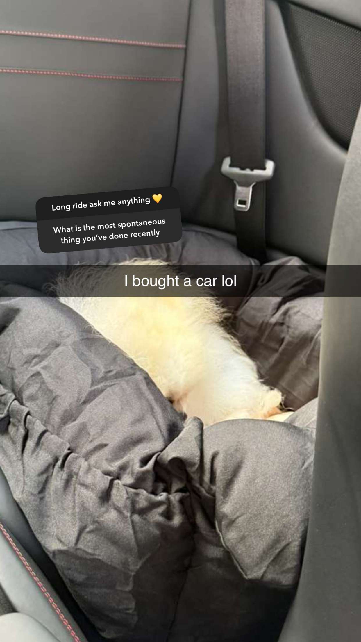 graceboor snapchat image archive image