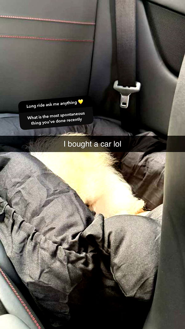 graceboor image ~ Altpins