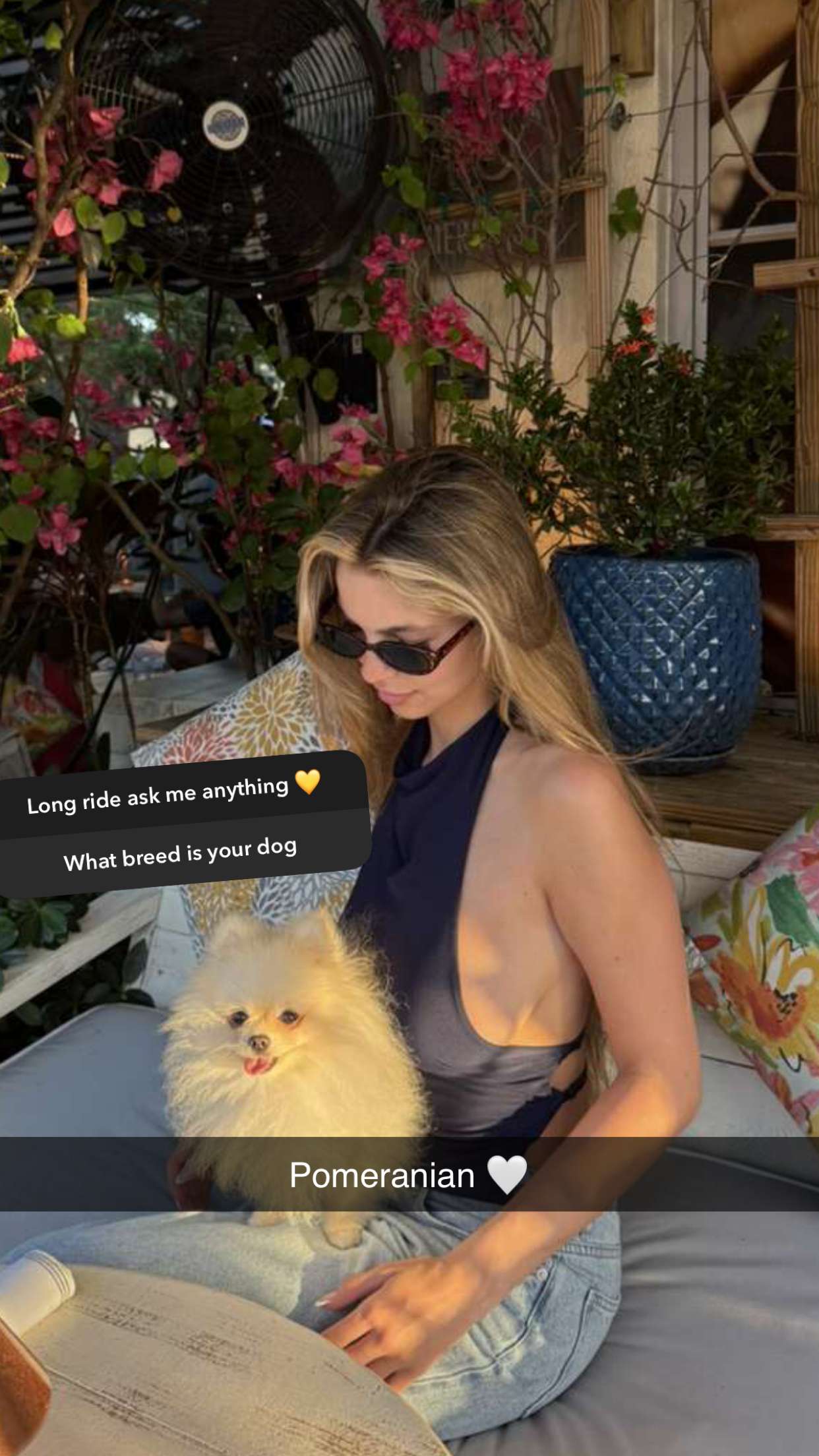 graceboor snapchat image archive image