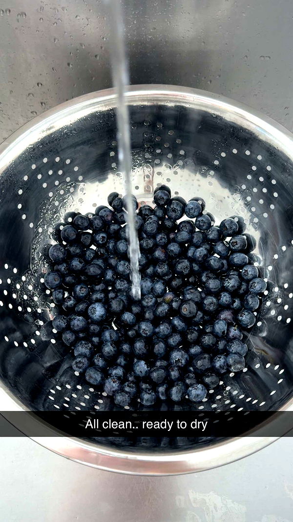 graceboor image ~ Altpins