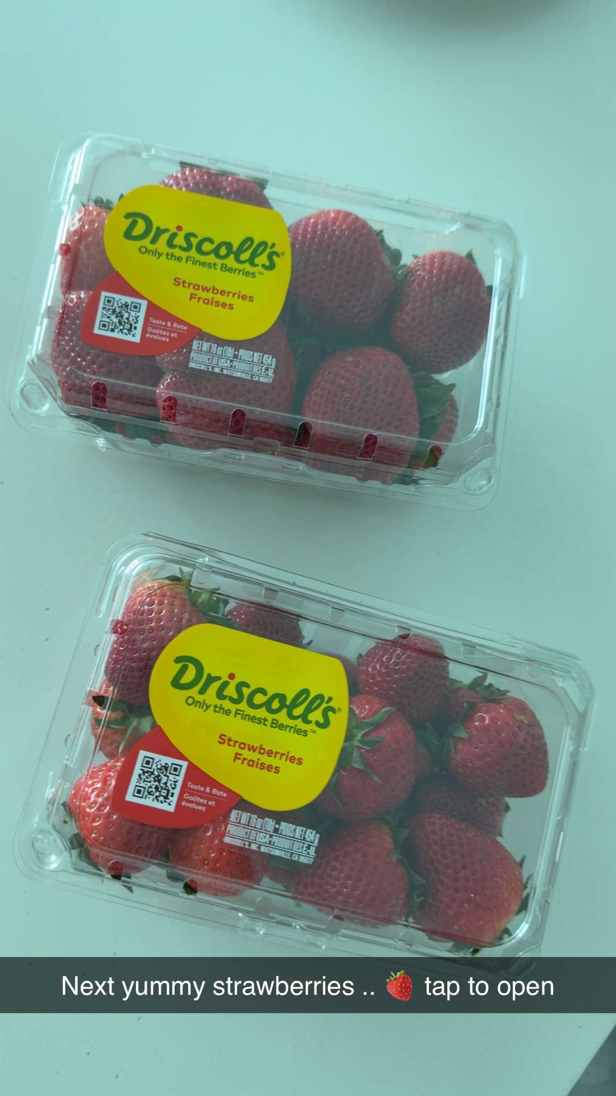 graceboor snapchat image archive image