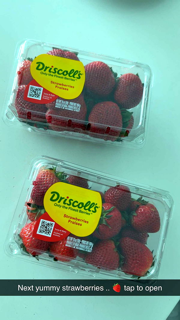 graceboor image ~ Altpins