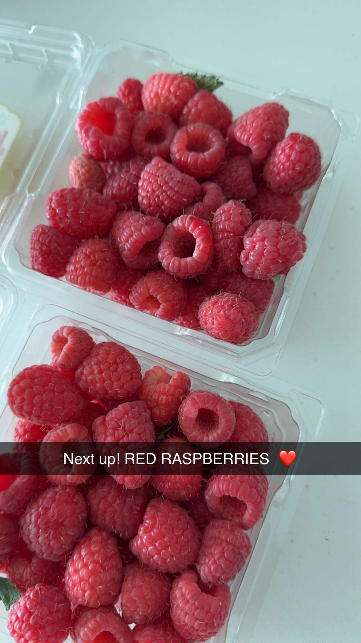 graceboor snapchat image archive image