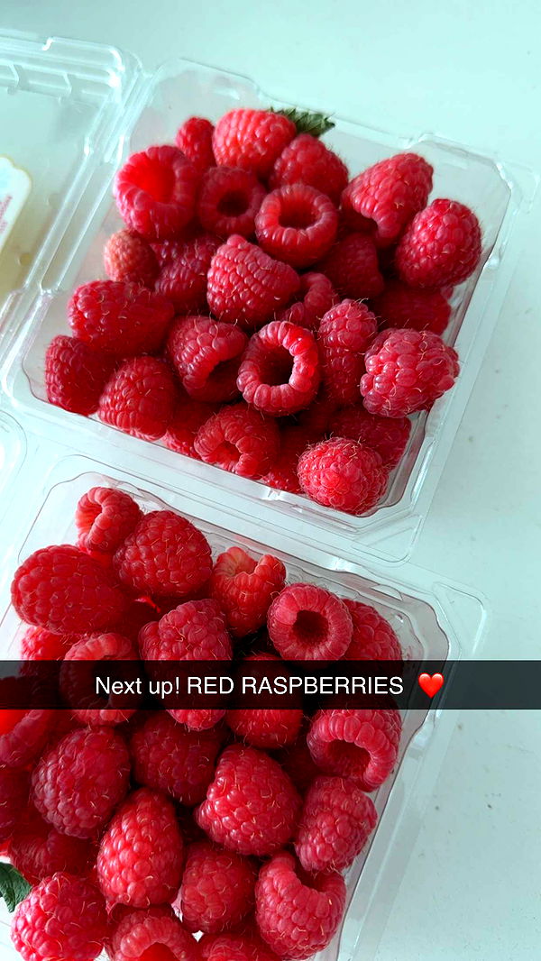 graceboor image ~ Altpins