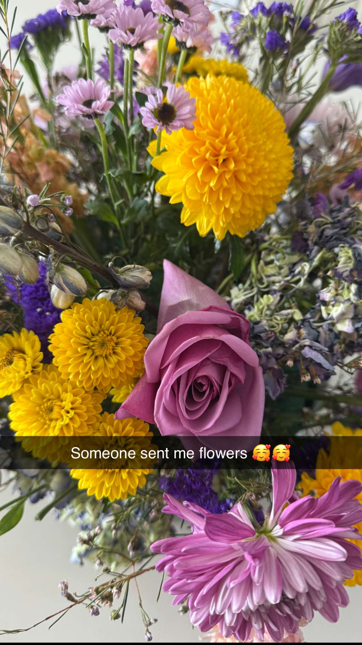 graceboor snapchat image archive image